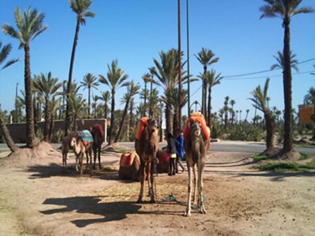Riad Tahar Oasis Марракеш Экстерьер фото